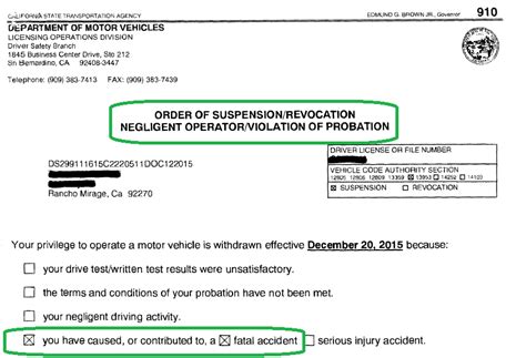 Order Of Suspensionrevocation For Causing A Fatal Accidentcalifornia