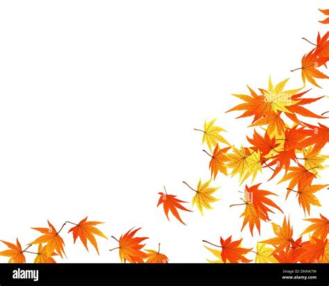 Twisted Row Of Autumn Maples Leaves Vector Illustration Stock Vector