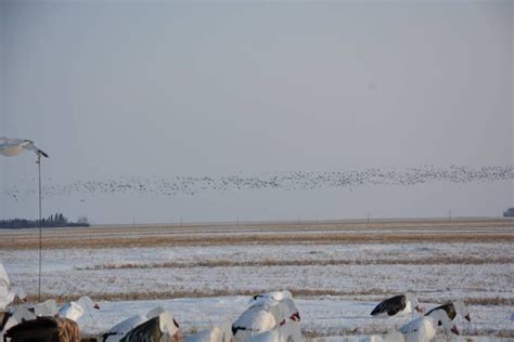 It is home to bountiful numbers of trophy 50 northern pike and 60lb lake trout and chunky walleye. | Tourism Saskatchewan