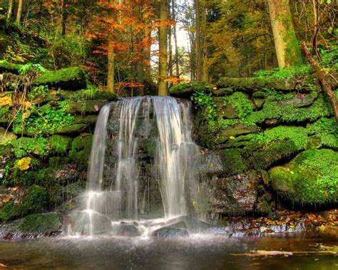 Waterfall Woods Rocks Landscape Moss Stream Nature