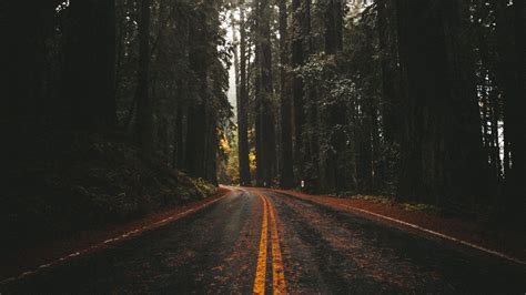 Road Green Trees Asphalt Forest Hd Nature Wallpapers Hd Wallpapers