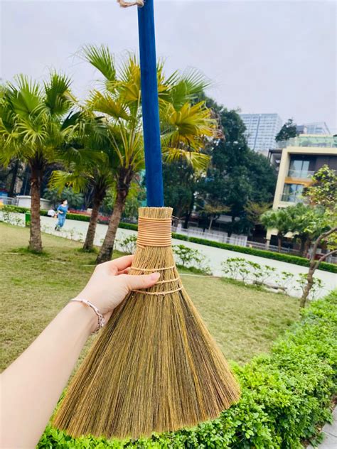 Tts For Home Natural Whisk Sweeping Hand Handle Broom Whisk Broom