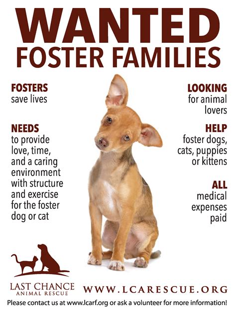 Designed LAST CHANCE ANIMAL RESCUE posters on Behance