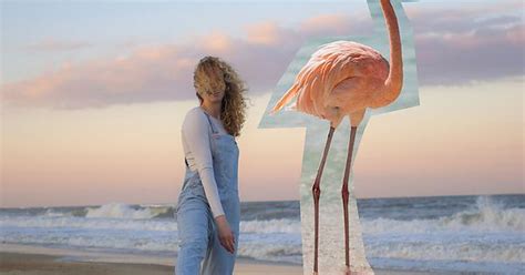 The Girl And The Giant Flamingo Album On Imgur