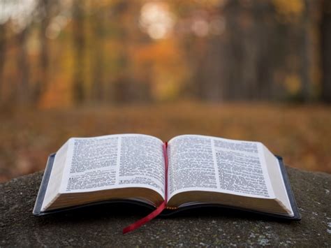 They usually emerge as wives or mothers in stories which focus more on the men. Does the Bible Promote Racism? | United Church of God