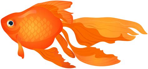 Goldfish Clipart At Getdrawings Free Download