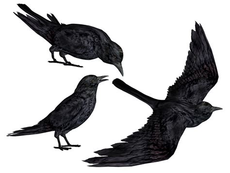 Download Crow Png Clipart Hq Png Image Freepngimg