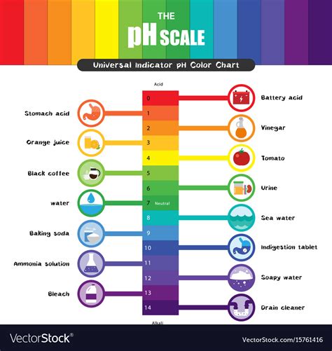 Ph Scale Universal Indicator Ph Color Chart Vector Image