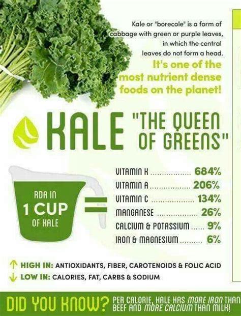 Kale Benefits Health Matcha Benefits Benefits Of Coconut Oil Vitamin