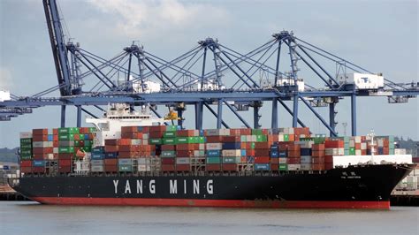 Yang Ming Launching Another Two 14000 Teu Container Ships Atlas Network