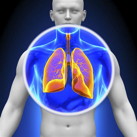 The Different Types of Lung Cancer