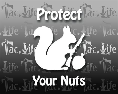 Protect Your Nuts Squirrel Vinyl Decal Etsy