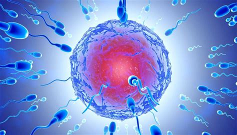 Men Facing Fertility Crisis As Sperm Counts Plummet Epidemiologist