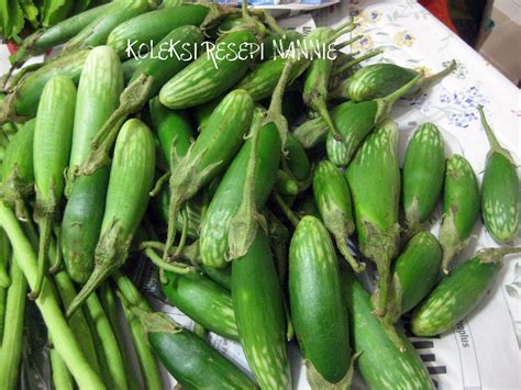 Resepi Nennie Khuzaifah Sayur Sayuran Dari Kampung