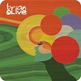 Brian Olive Band | Album covers, Pie chart, Album
