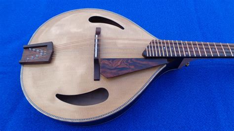 Gary Nava Luthier Instrument Archive Archtop Mandolin