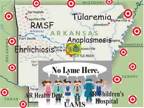 Lyme Disease Hidden Epidemic Of Arkansas Hubpages