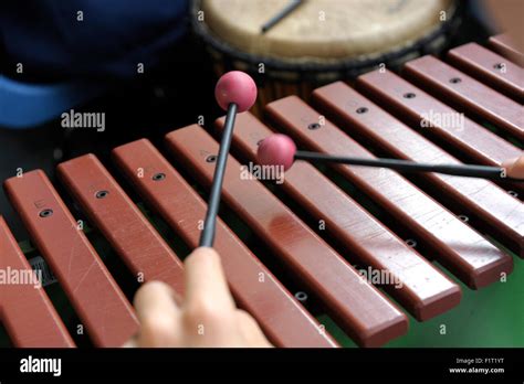 Xylophone Hi Res Stock Photography And Images Alamy