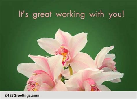 Beautiful Flowers Free Appreciation And Encouragement Ecards 123 Greetings