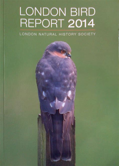 London Bird Report 2014 Provides Useful Data On Bexleys Species Of