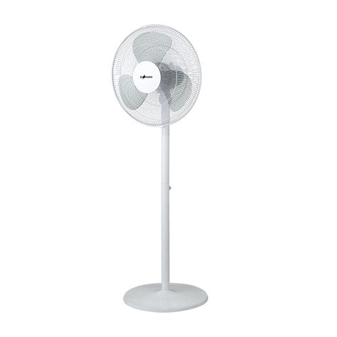 Ecohouzng 16 Inch Dia Oscillating Pedestal Fan The Home Depot Canada