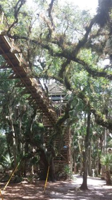 Whiting forest in midland will open the nation's longest canopy walk, reaching a height of 40 feet above ground, in october 2018. 3 Days in Sarasota: Travel Guide on Tripadvisor