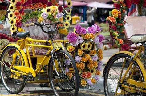 Buy the newest raleigh bikes products in malaysia with the latest sales & promotions ★ find cheap offers ★ browse our wide selection of raleigh bikes price in malaysia february 2021. Malacca Night Market - Malaysia | Night market, Garden ...