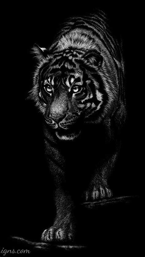 Black Tiger King Tiger Jungle King Animal Hd Phone Wallpaper Pxfuel