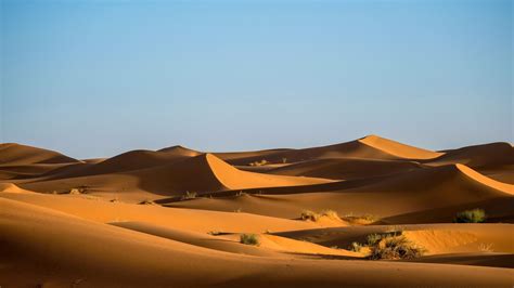 Insightful Contemplations With Desert Landscape High
