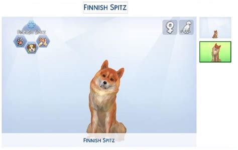 Finnish Spitz Mod Sims 4 Mod Mod For Sims 4