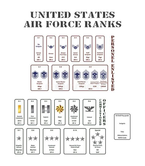 United States Air Force Ranks On White Background Stock Vector