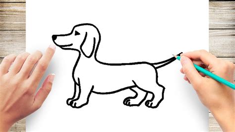 How To Draw A Dachshund Dog Step By Step Youtube