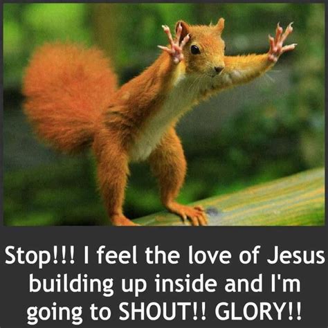 Find the newest hallelujah meme meme. Praise Quotes Funny. QuotesGram