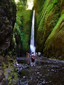 Oneonta Gorge, Oregon, USA: | Shah Nasir Travel