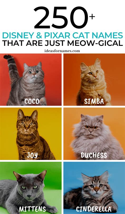 250 Disney Cat Names That Are Just Meow Gical Ideas For Names