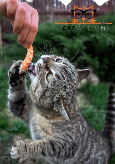 They are one of the great natural oil which provides a lot of value to us. Can Cats Eat Shrimp? Do They Prefer (Cooked Or RAW)