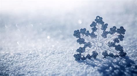 Hd Wallpaper Winter Snow Freezing Frost Snowflake Christmas
