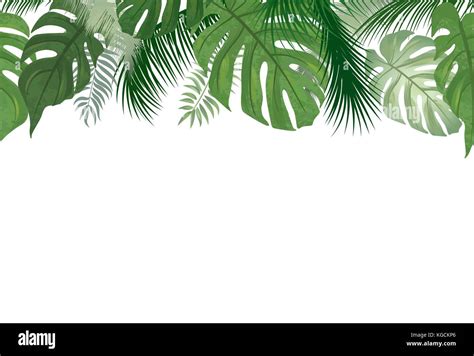 floral seamless pattern tropical leaves background palm tree leaf nature border stock vector