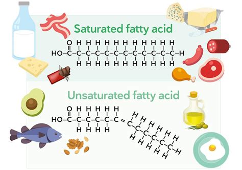 A User Guide To Saturated Fat Diet Doctor
