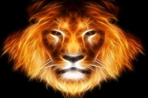Fire Lion Wallpapers ·① Wallpapertag