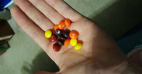 This Package Of Skittles I Got Only Had Skittles That Were Of Reeses