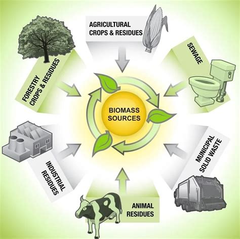 Biomass Energy Scenario In Southeast Asia Bioenergy Consult