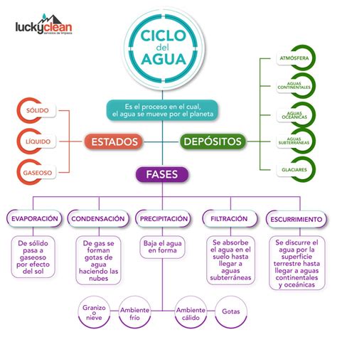 Mapa Conceptual Sobre El Ciclo Del Agua Ciclo Del Agua Images And