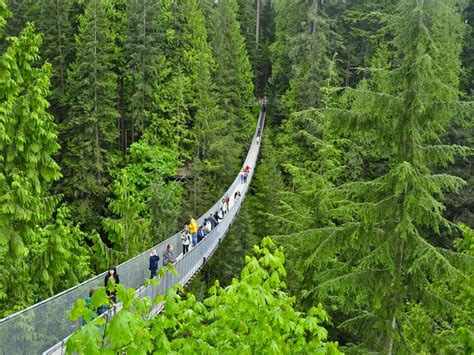 Capilano Suspension Bridge Vancouver Canada ~ World Travel Destinations