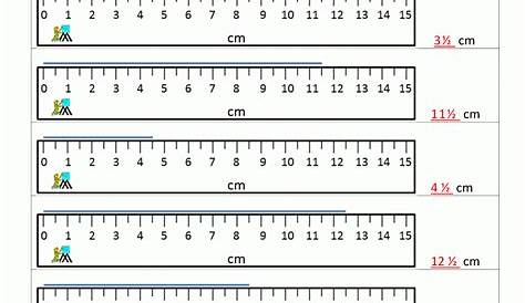 Reading A Ruler Worksheet — db-excel.com