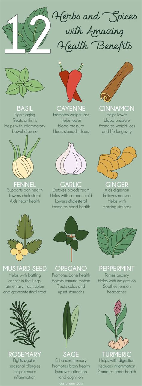 the amazing health benefits of 12 herbs and spices pinterest theculturetrip natural healing