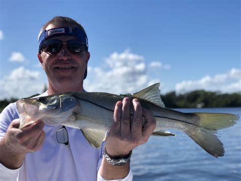 Common Snook Snook Fish In A Bag Fish