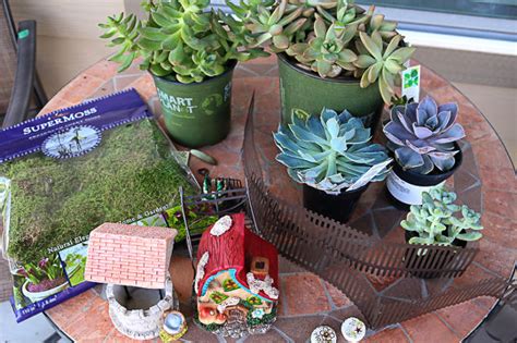 You might want to add some sand to create an exotic, desert atmosphere in a succulent garden. Succulent Fairy Garden | Hometalk