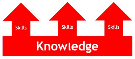A 5 Minute Guide To Knowledge Vs Skills The Teaching Delusion