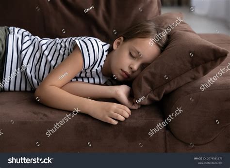 99016 Sleep Sofa 图片、库存照片和矢量图 Shutterstock